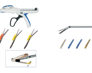 Disposable straight endoscopic linear cutting and stapling instrument with or without reload